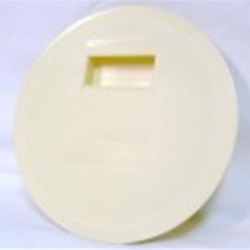 Amsec Dust Cover